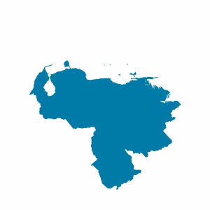 Venezuela Vizesi